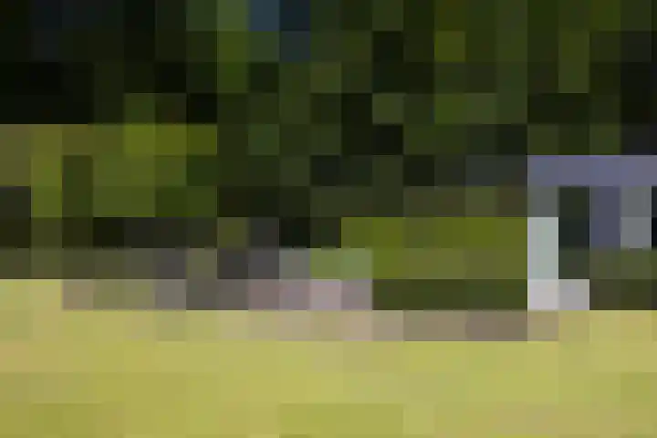 Lariksweg 16 Epe thumbnail 74