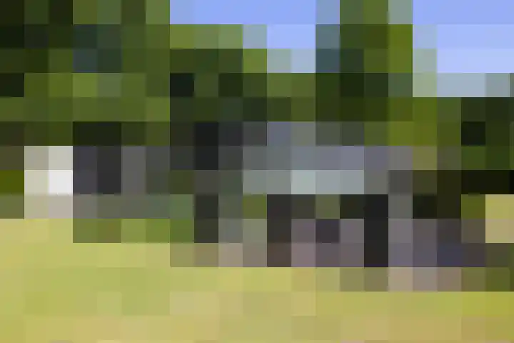 Lariksweg 16 Epe thumbnail 75