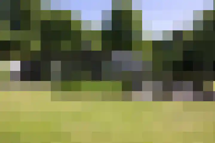 Lariksweg 16 Epe thumbnail 76