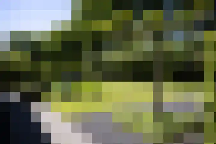 Lariksweg 16 Epe thumbnail 77