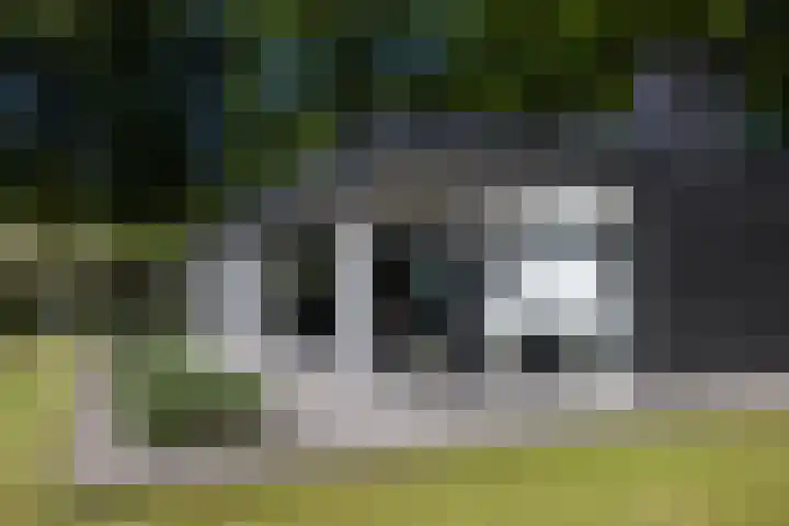Lariksweg 16 Epe thumbnail 78