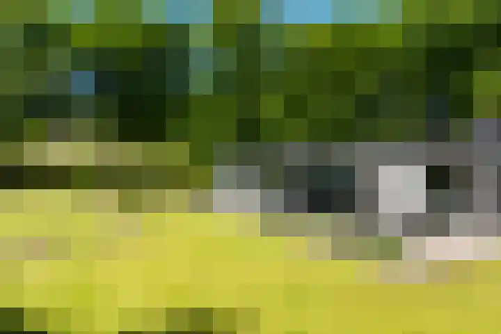 Lariksweg 16 Epe thumbnail 79