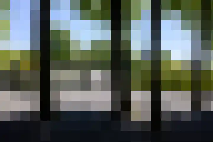Lariksweg 16 Epe thumbnail 8