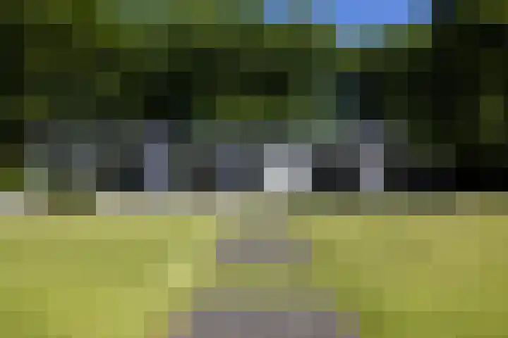 Lariksweg 16 Epe thumbnail 81