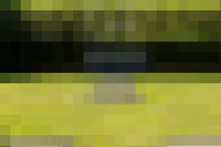 Lariksweg 16 Epe thumbnail 82