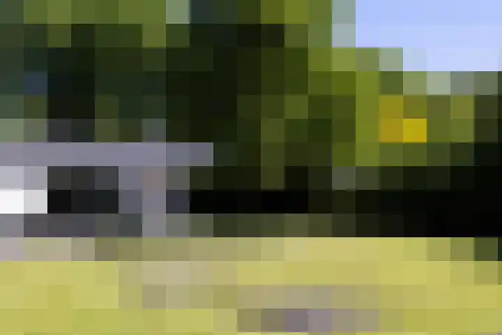 Lariksweg 16 Epe thumbnail 83