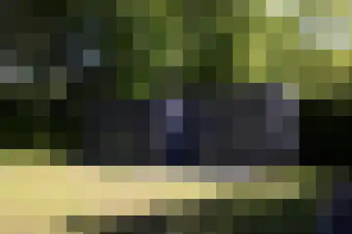 Lariksweg 16 Epe thumbnail 84