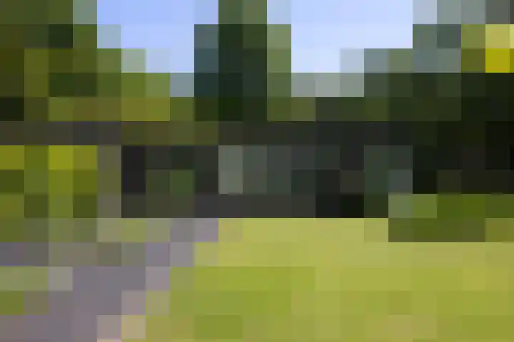 Lariksweg 16 Epe thumbnail 85