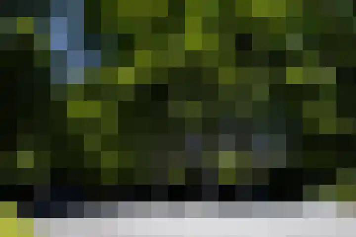 Lariksweg 16 Epe thumbnail 86