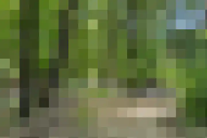 Lariksweg 16 Epe thumbnail 87