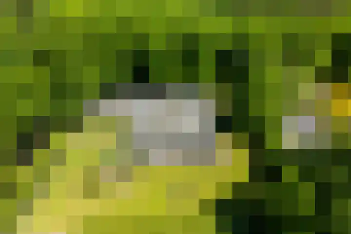 Lariksweg 16 Epe thumbnail 88