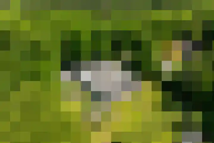 Lariksweg 16 Epe thumbnail 89