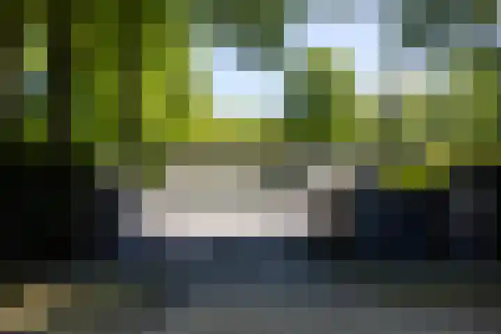 Lariksweg 16 Epe thumbnail 9