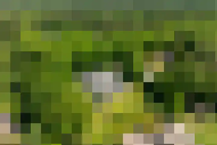 Lariksweg 16 Epe thumbnail 90