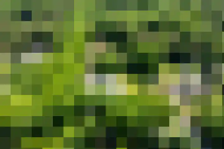 Lariksweg 16 Epe thumbnail 91