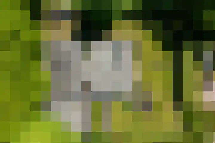 Lariksweg 16 Epe thumbnail 92