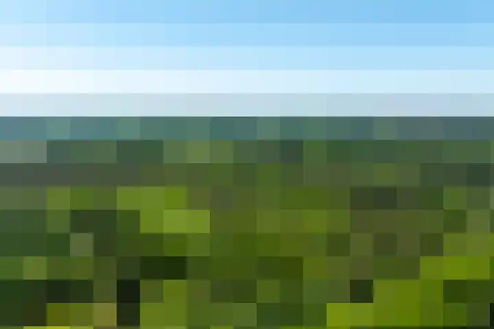 Lariksweg 16 Epe thumbnail 93