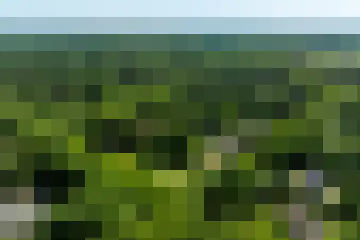 Lariksweg 16 Epe thumbnail 94