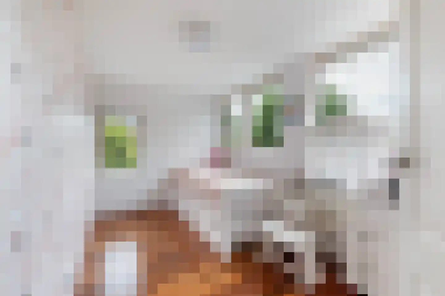 Lariksweg 3 Eibergen thumbnail 32