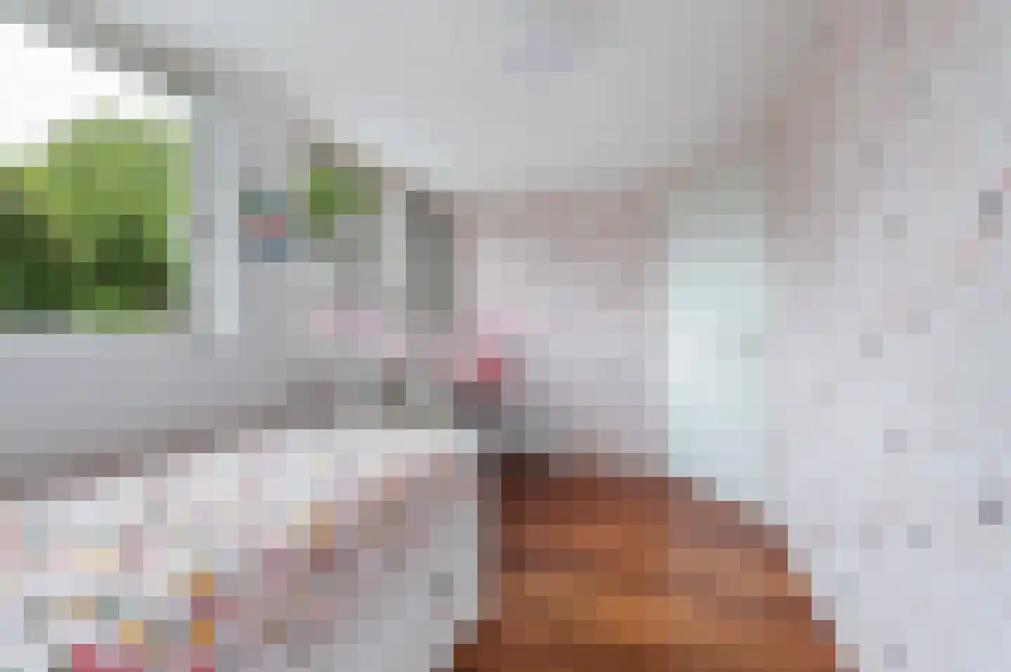 Lariksweg 3 Eibergen thumbnail 33