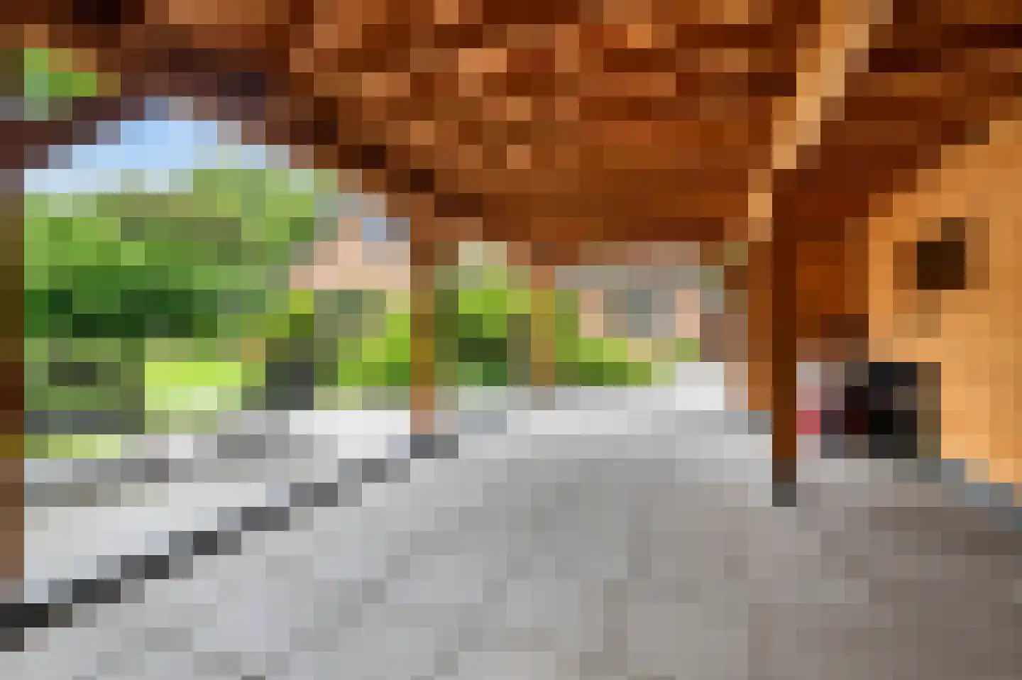 Lariksweg 3 Eibergen thumbnail 42