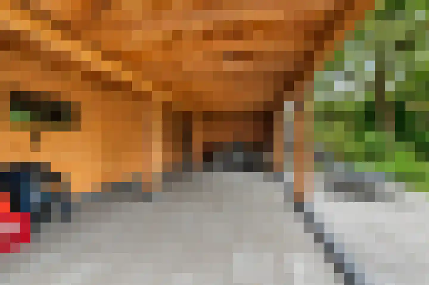 Lariksweg 3 Eibergen thumbnail 43