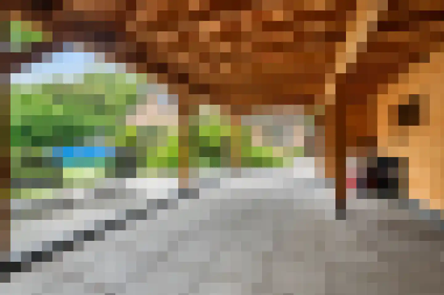 Lariksweg 3 Eibergen thumbnail 44