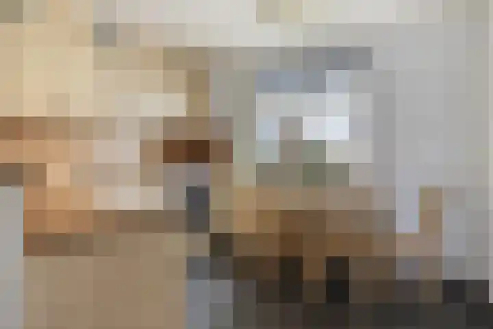 Lariksweg 4 Langenboom thumbnail 10