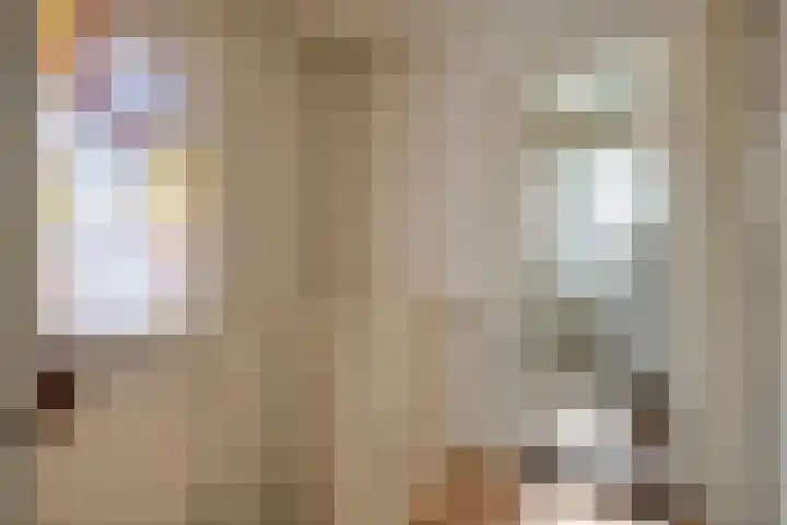 Lariksweg 4 Langenboom thumbnail 15