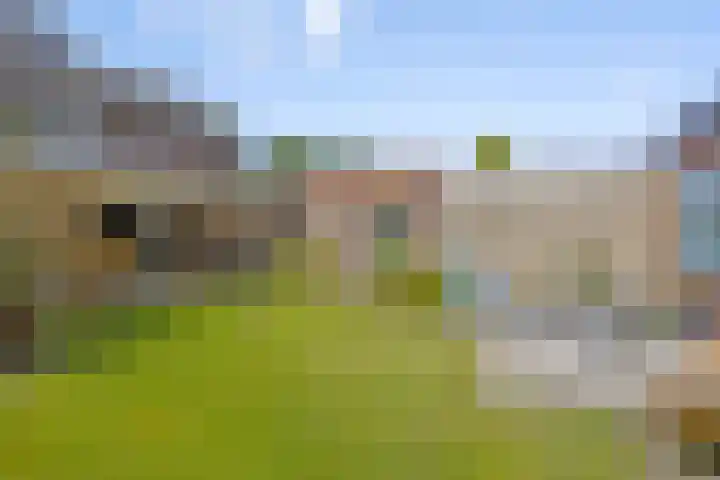 Lariksweg 4 Langenboom thumbnail 24