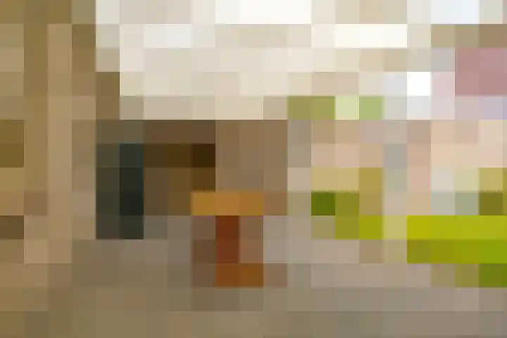 Lariksweg 4 Langenboom thumbnail 28