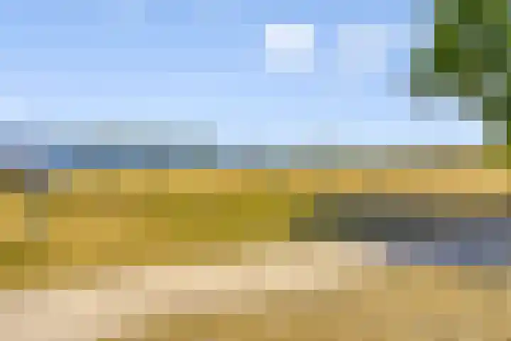 Lariksweg 4 Langenboom thumbnail 32