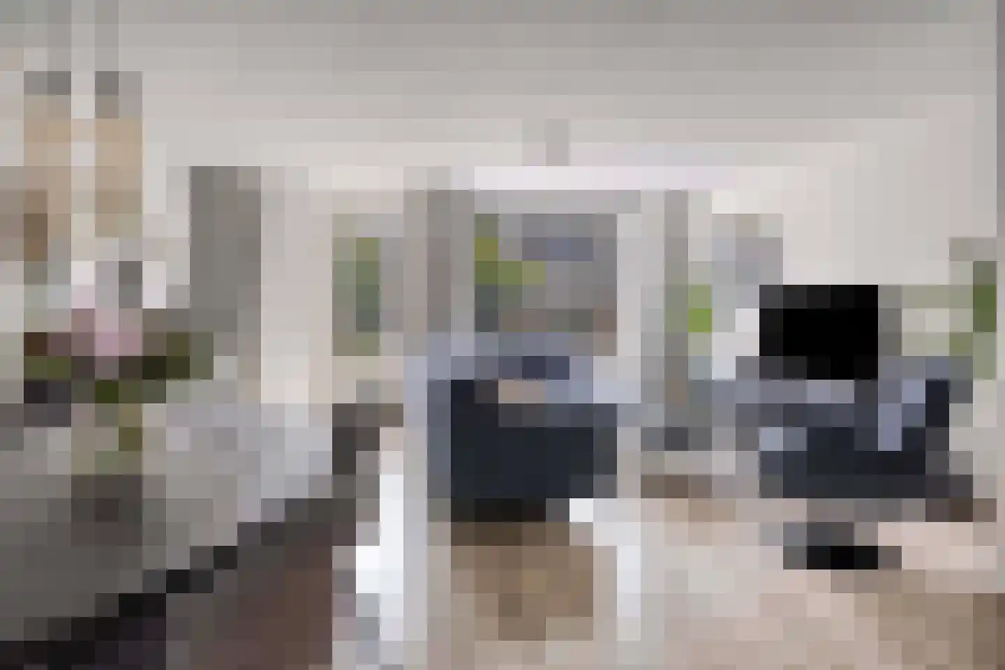 Larikszoom 44 Zoetermeer thumbnail 12