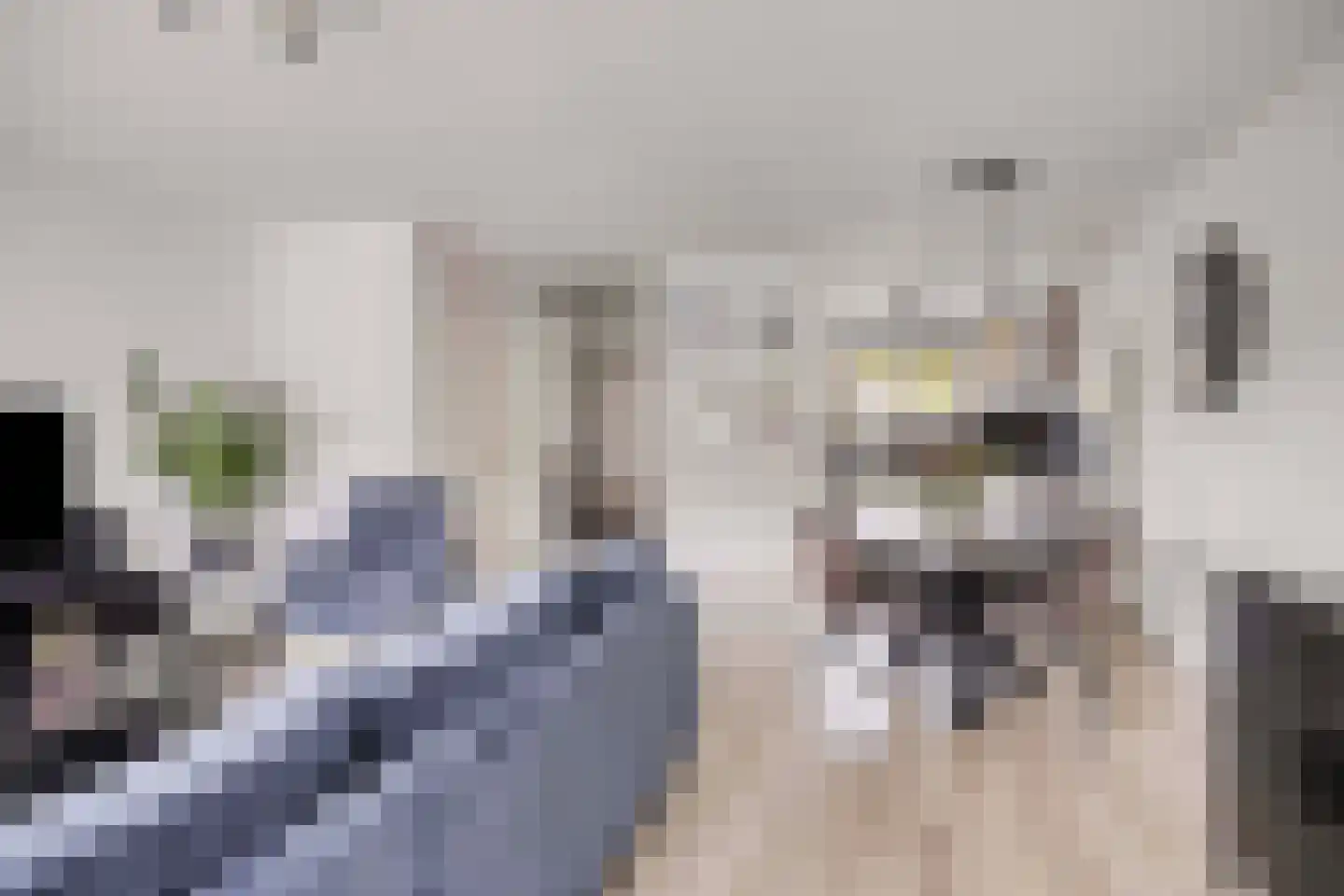 Larikszoom 44 Zoetermeer thumbnail 14