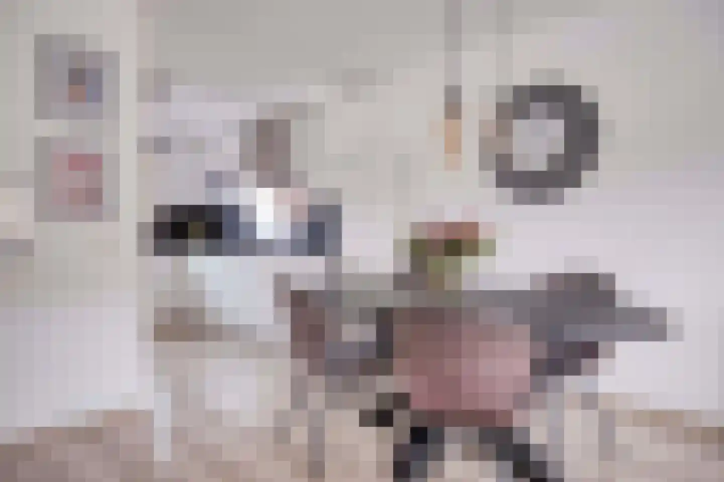 Larikszoom 44 Zoetermeer thumbnail 15