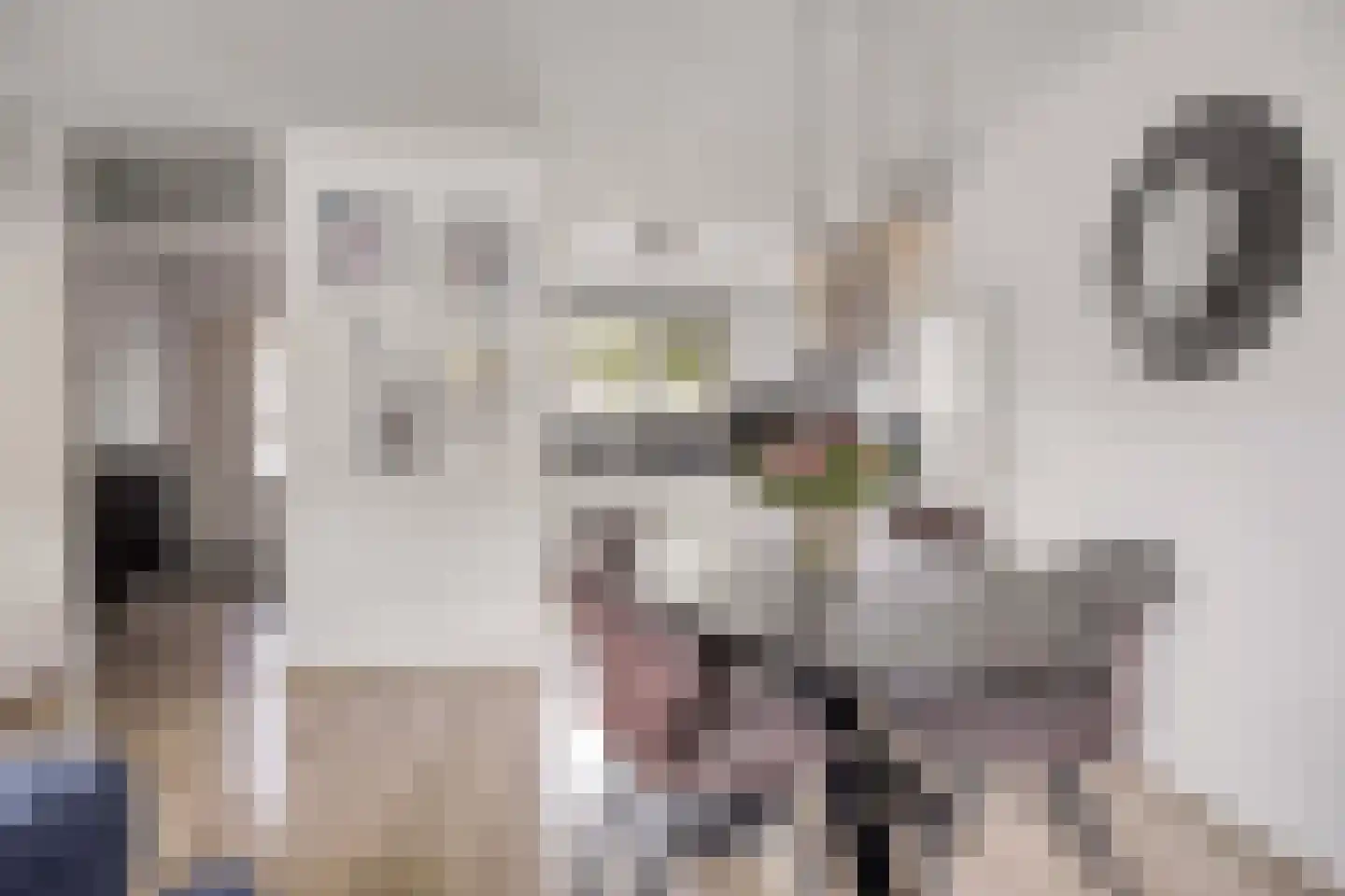 Larikszoom 44 Zoetermeer thumbnail 16