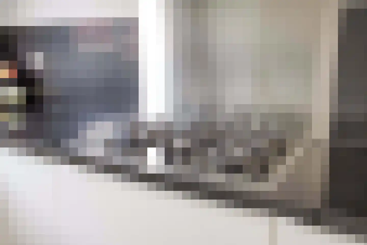 Larikszoom 44 Zoetermeer thumbnail 18