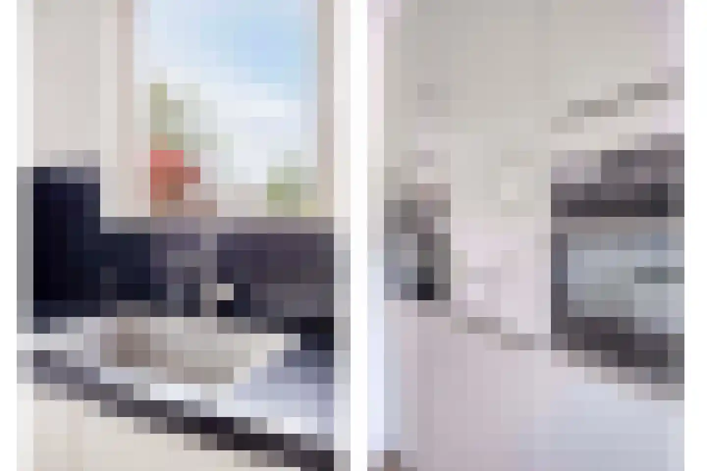 Larikszoom 44 Zoetermeer thumbnail 19