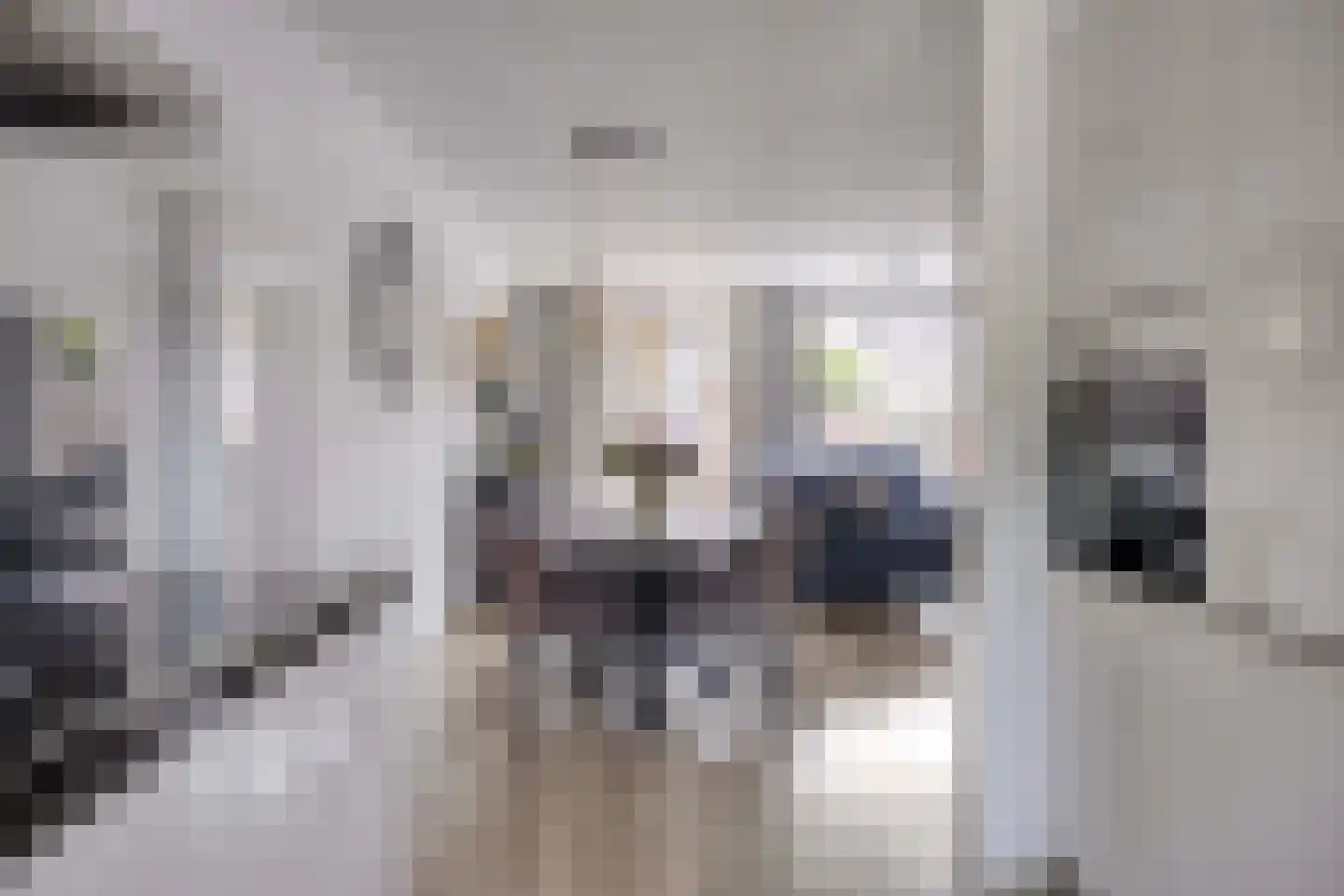 Larikszoom 44 Zoetermeer thumbnail 20