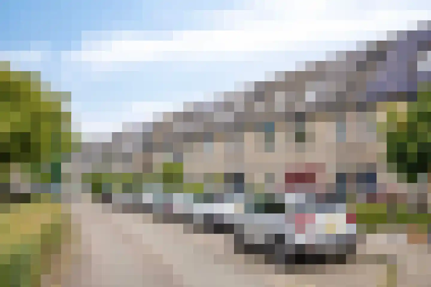 Larikszoom 44 Zoetermeer thumbnail 40