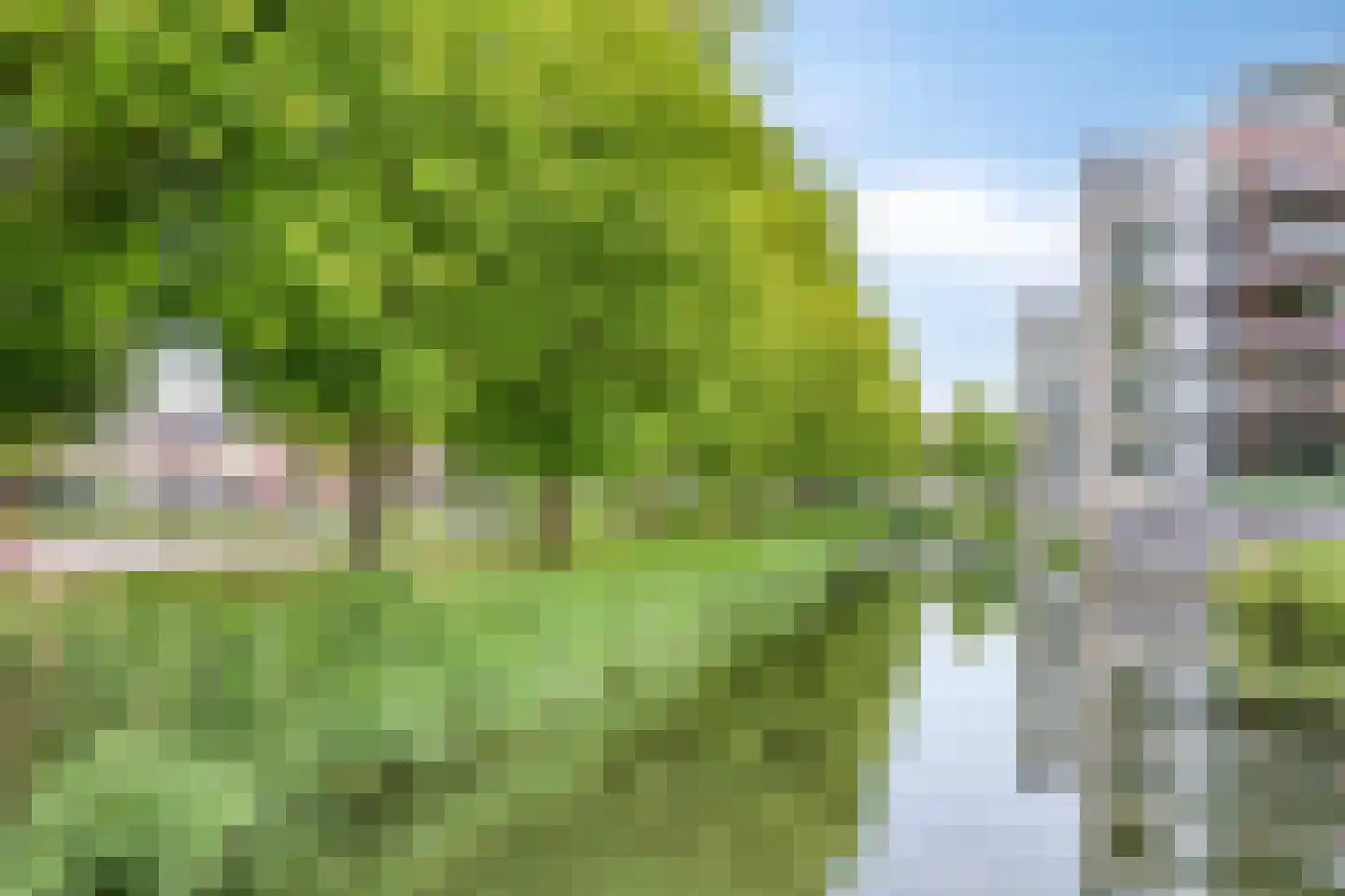 Larikszoom 44 Zoetermeer thumbnail 43