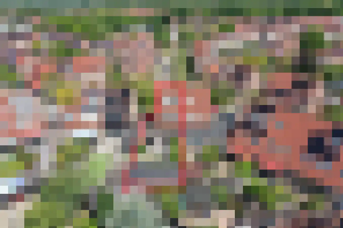 Larix 21 Hoorn thumbnail 33