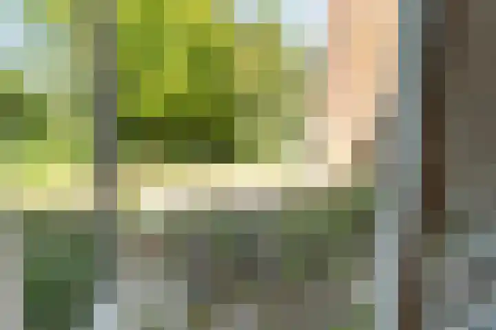 Larix 7 Hellevoetsluis thumbnail 19