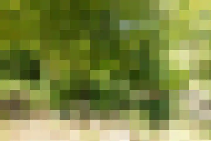 Larix 7 Hellevoetsluis thumbnail 20