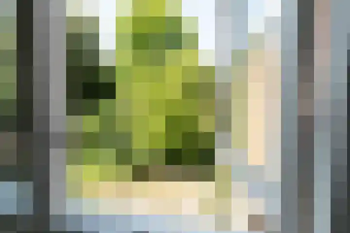 Larix 7 Hellevoetsluis thumbnail 41