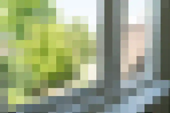 Larix 7 Hellevoetsluis thumbnail 44