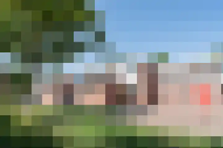 Larix 7 Hellevoetsluis thumbnail 49