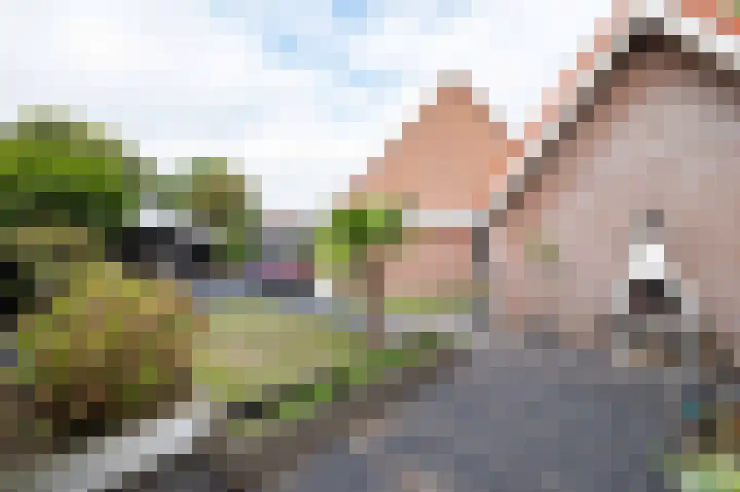 Larix 73 Hellevoetsluis thumbnail 44