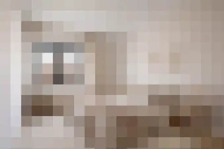 Larixdreef 6 Bleiswijk thumbnail 22