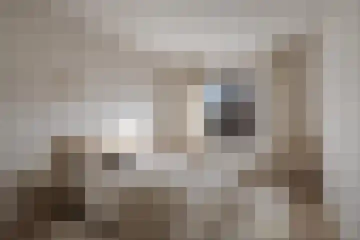 Larixdreef 6 Bleiswijk thumbnail 24